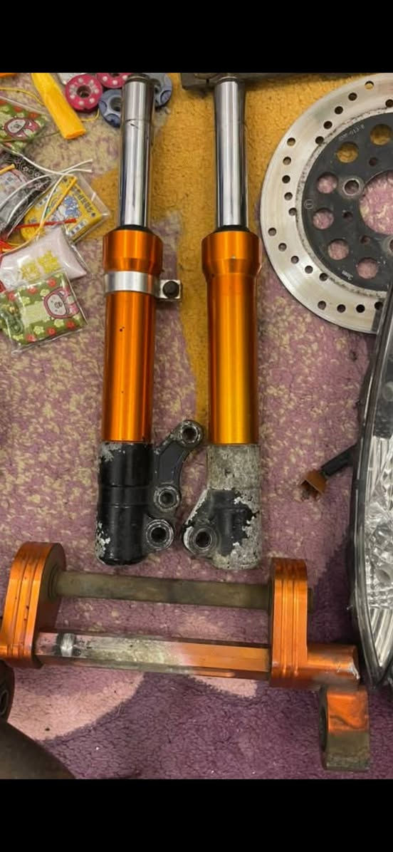 صدر وشيال اصليات شراي خاص


**إذا كنت صاحب هذا الإعلان وتريد حذفه لأي سبب، رجاءا أرسل رسالة إلى الدعم الفني**