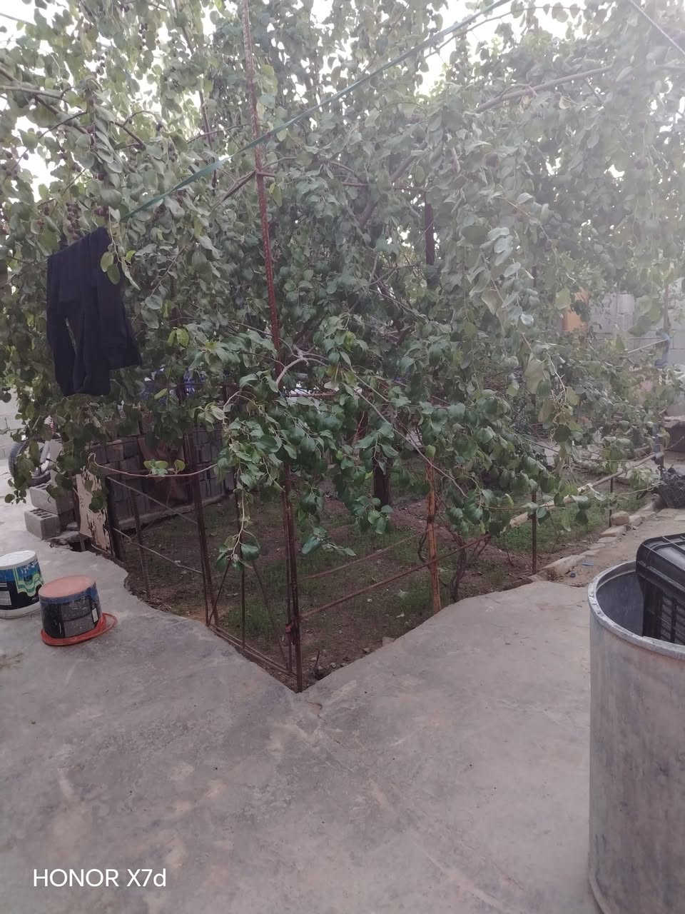 بيت للبيع زراعي ٢٠٠متر يحتوي على غرفتين وصاله ومطبخ واستقبال وحديقه موقع خان الربع عمود 173 للاستفسار اكثر الاتصال على الرقم ***********
