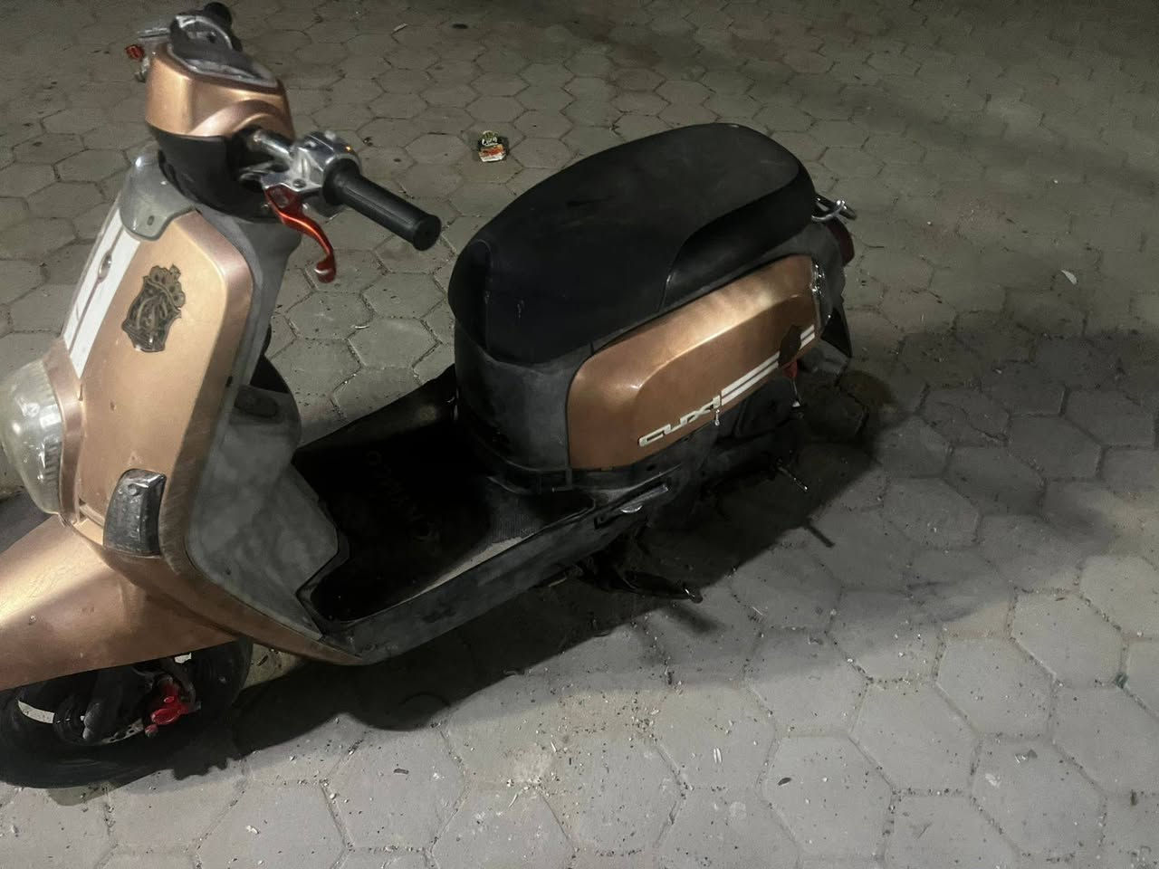 السلام عليكم ورحمة الله وبركاته
دراجه ماكس بوليسي لون  ذهبي
موديل 2008
الدراجة مفتوحة أو مشتغليه شغل درجه اوله
السعر 450 أو بيها مجال
مكان كوفه حي كنده
الرقم ***********
