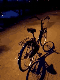 باسكل • نيلي • موديل 20