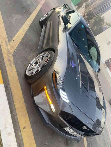 السلام عليكم ملاحضه الساره ترهم مرواس
للبيع فورد موستنك ايكو بوست بريميوم  فول مواصفات 
موديل 2023 رقم بغداد بأسمي تحويل مباشر 
ترايك من زاخو للفاو سياره برغي نقص مابيها وضع شركه 
ويل روش سعره ١٥ ورقه 
السياره ماشيه 26 الف
فول الفول 
رادار امامي
رادار جانبي
تحديد مسار
حساسات خلفيه
شاشة كبيره 
كشنات جلد
كشنات تدفئة تبريد
كشنات كهرباء 
داخل 7 الوان متغير +دشبول 7 الوان 
وباقي مواصفات البريموم المعروفه
الضرر 
جاملغ وبنيد قطعتين ايرباك ستيرن فقط 
مكينه وكير وحداديه بشرط 
مكان السياره بغداد 
السعر 195  
سياره ستيج ١ مزوده بيها شوته k&n وانتيك وعليها فول هوائيات بلكات ريسنك ولف ريسنك عطاس
للاستفسار *********** Colombo
