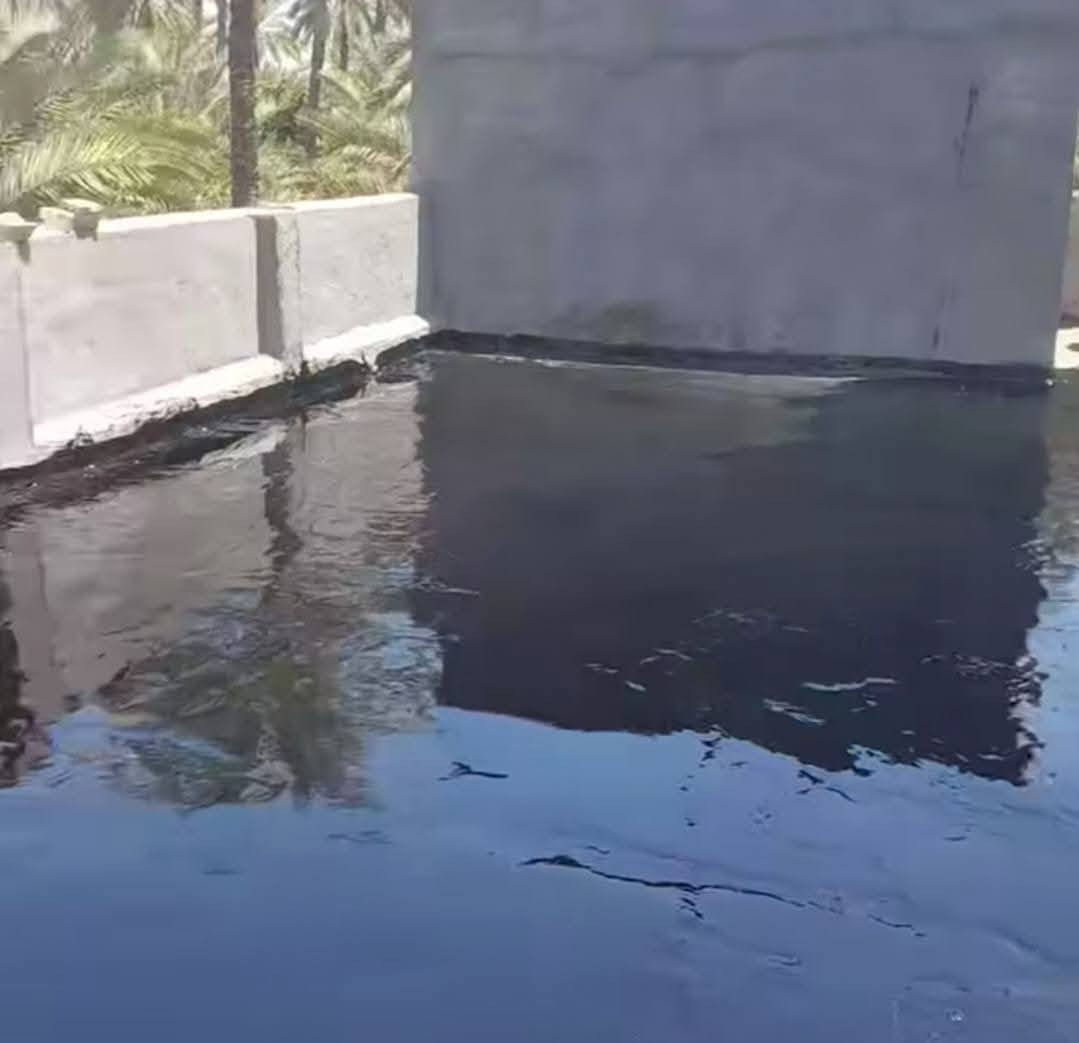 تعلن سكلة  المنكوشي لبيع الجير في كربلاء في اسعار مناسبه الاستفسار الارقام الهاتفيه ***********/👉🏢🏨
