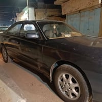 القرنة • البصرة • خاص