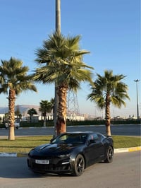 ٢٠٢٢ • ٤ توربو • كشن جلد