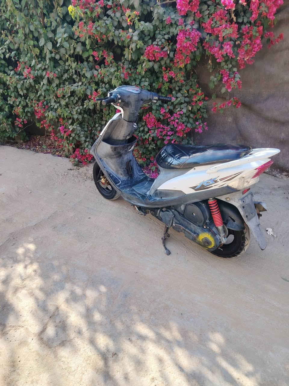 للبيع ماكس عدله الدراجه كامله مكمله نقصه فقط باتري الدراجه شلعه و معدل تآكل الكاع كله بلاديه السعر ب ٦٥٠ قفله من الاخير لا اعاملك َلا تعاملني مكاني بابل قرب جسر بته الاستفسار ***********
