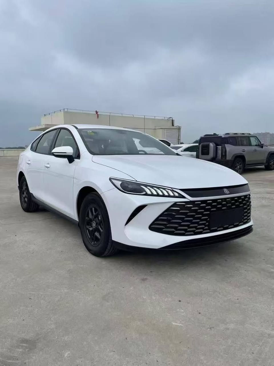 يم (معرض الكريم) توفر (سيل 5 والكن بلاس )ال BYD SAEL . 05 شكل التسلا او البورش / المواصفات البيسك
☎️***********☎️مؤمل 

عرض خاص وسعر بلاش 💥

يم معرض الكريم لتجاره السيارات الحبيبية ساحه واهران 

جن بلاص ابيض داخل أبيض 

🔴السعر  :تواصل مع الأرقام 

 عراقي وتستلم صافي بدون دلالية

عن توفر سيارة بي واي دي 2025

‏BYD  Sael 05 2025

اليكم المواصفات

انتبه السياره : هايبرد & بانزين & كهرباء يعني التفويله الوحده بانزين 🔥🔥تمشيك 2100 كيلو

65كيلو شحن 🔥🔥

موديل 2025

حساسات 

حجم المحرك 1.5

شاشه اصليه 

كامره خلفيه

هند بريك كهرباء

دشبول شاشه ديجيتال

اوتو هولد

مفتاح التشغيل بصمه

تشغيل عن بعد تحكمات مقود

اوامر صوتيه

منفذ طاقهس

منافذ شحن

مقول جلد حياكه

دخول ذكي

3 وضعيات قيادة

اشاير بل مري

تتسع المقصورة ل 5 ركاب

المقاعد جلد رياضي

اريل نفكيتر

اناره داخليه LED

لد امامي LED

‏LED بك لايت

قطعتين تبريد 

مثبت سرعة

حجم الاطار 16

مانع تزحلق

شاحنه خلفية

كير ماوس

البطاريه ليثيوم الاقوى والاطول عمرا في عالم الهايبرد ملاحضه: جميع العده مالته موجوده المن

والكيبل الشاحن

والمثلث

انتبه 

🟩 السعر .🔥 

بسعر الجمله وتدللون علينا

🔹معرض الكريم لتجارة السيارات 

مكان بغداد/ ساحه واهران الحبيبية 

بيع ..نقدآ 🔶

وبأنسب الاسعارررر▫️

***********/ مؤمل
