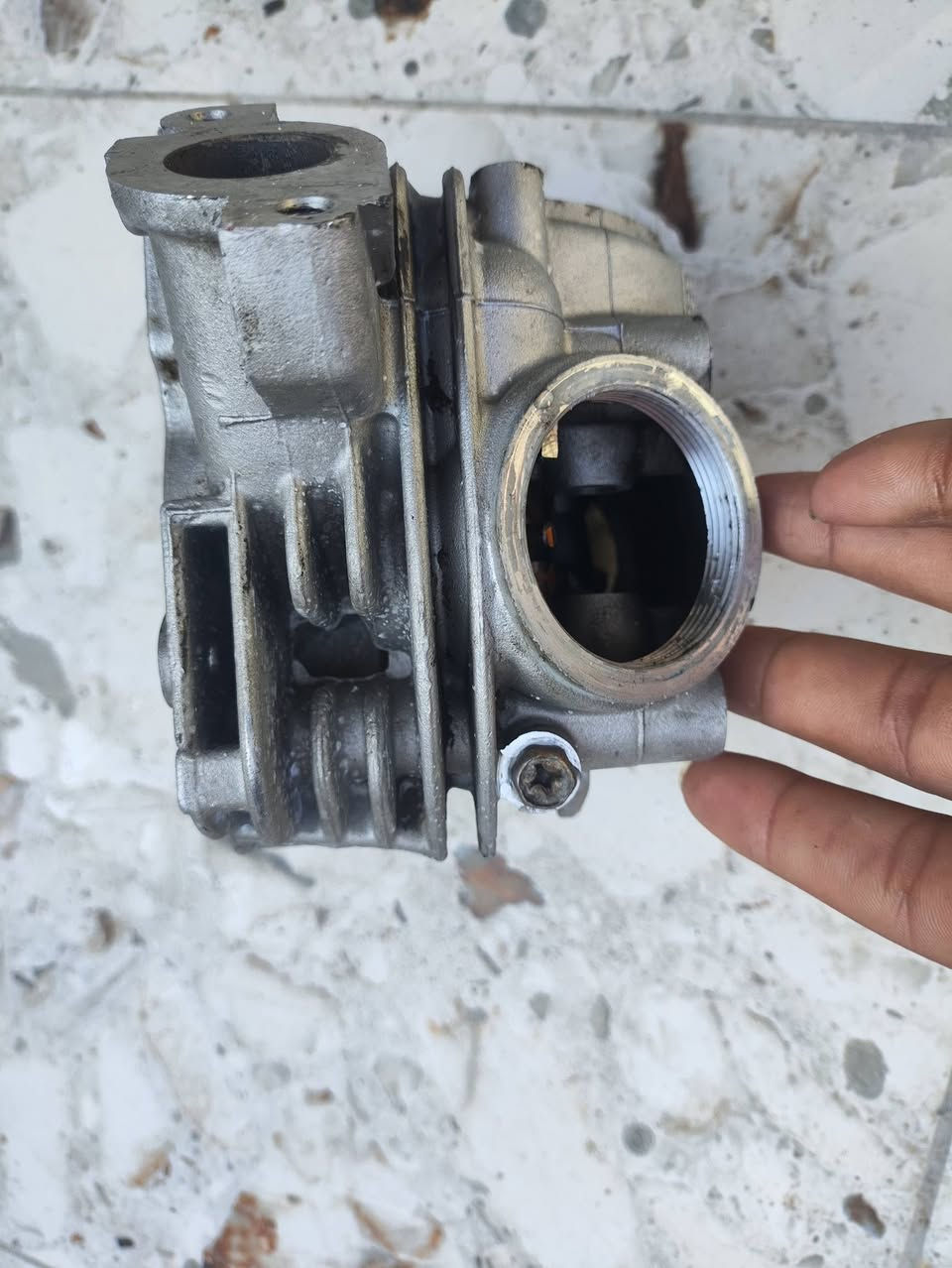 سلام عليكم
غراض  سكنس وماكس 
كور ماكس ب10 وبي مجال 
روله ماكس عوزها بس بوابرنات ب 10 وبيها مجال
عقل ماكس ما مشتغل شرط الفحص ب 10 وبي مجال 
كور سكنس تفصيخ فارغ ب10 بي مجال 
فشكتين سكنس ب 15 وبي مجال 
شوته سكنس ب 10 بيها مجال
صالنصه سكنس نثيه وترهم على الفحل بس بدون حساس 
بدون لحيم بلاديه ب 10 
كصه سكنس فحل ب 8 بيها مجال 
قبق هندر عدد 2 الواحد ب 5 
هاوزن سكنس ب 5 

شباب اسعار بيهن مجال توصيل موجود مكاني كوت حي الحكيم 
رقم ***********
