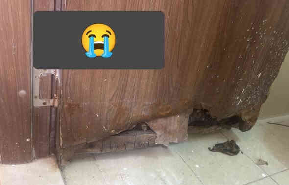 اعمالنا  تغليف بيبان.  نفس الون ونقشه. حسب قياس الزبون   ضد الرطوبه.   ضمان.  ☺️ ***********
