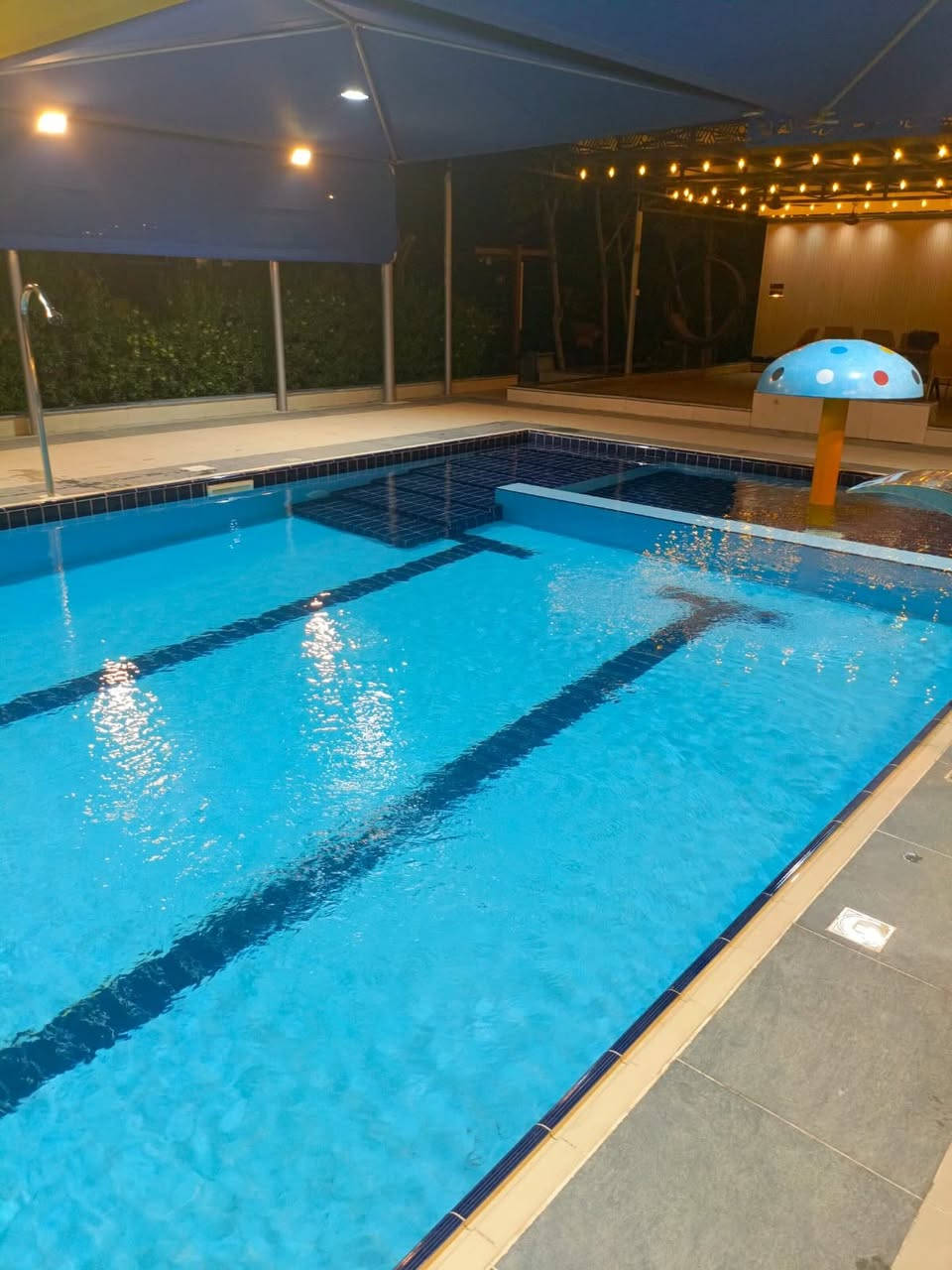 مزرعة شاطية للايجار في قلب بغداد🌴 قرب جسر المثنى متكاملة الخدمات تحتوي ع مسبح كبار🏊‍♂️ مسبح اطفال 🏊‍♂️صالة خاصه للالعاب ⚽️حدايق وجلسات خارجية🌴 مكان متكامل للشواء🍗 اطلالة ع نهر دجلة 🏞️ للحجز والاستفسار الاتصال واتساب ‭0771 750 6604‬📞📞#الصيف #فولووووو_____لايك❤️_متابعه✨_اكسبلوور💯 #مزارع_بلد_السياحيه_⚜️❤️ #البوعيثه❤️🔥 #عراقي
