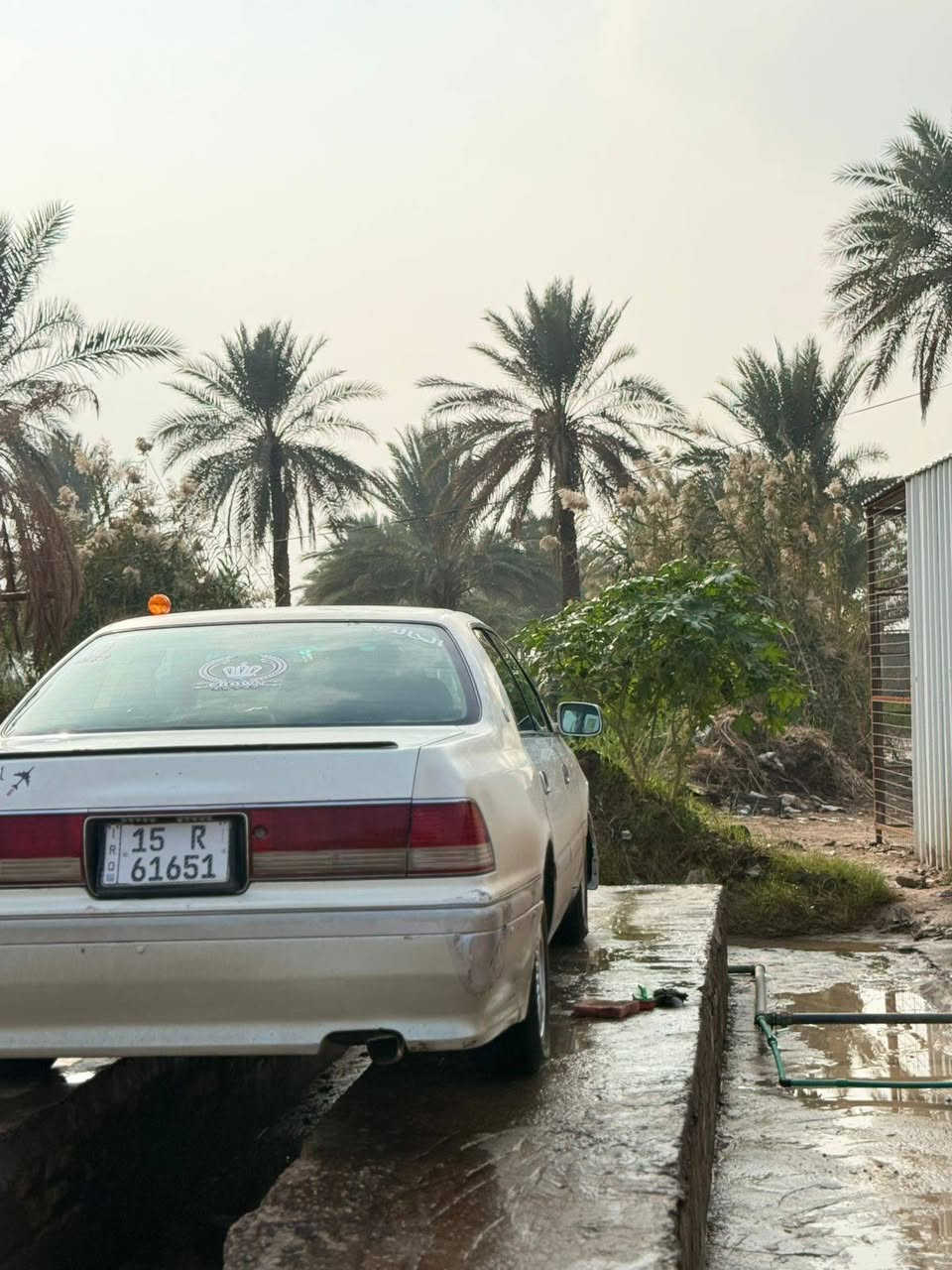 سلام عليكم راس الثور للبيع سياره بيها كصتين سياره بأسمي السعر 68بيه مجال رقم دولي  والكير بي النمره الثانيه تعلك  مكينه خير من الله حداديه 80/100 مكينه 3000 الرقم ***********مكاني الحله القاسم
