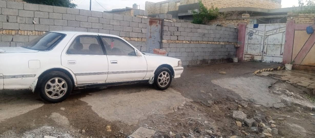 السلام عليكم كرسته كصيف لبيع مكفولة من العيب الشرعي والكصه والنقل وكافه الاصوليات مكينه وكير ونجي سنويه مشروع وطني رقم واسط السعر 40وبيه  المكان الناصريه شطره رقم راعيه ***********
