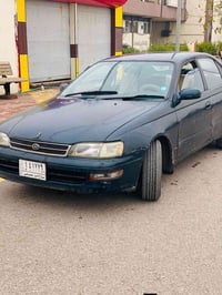 كراون • فرخ بطة • سنوية ٢٠٢٧