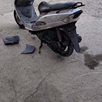 اسلام عليكم درجه لبيع ماكس منغولي مكفوله درجه جديده 
***********
