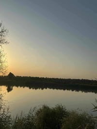 اخوان 7 دوانم للبيع مع نص دونم على شط الاستفسار أكثر على رقم 077109270...