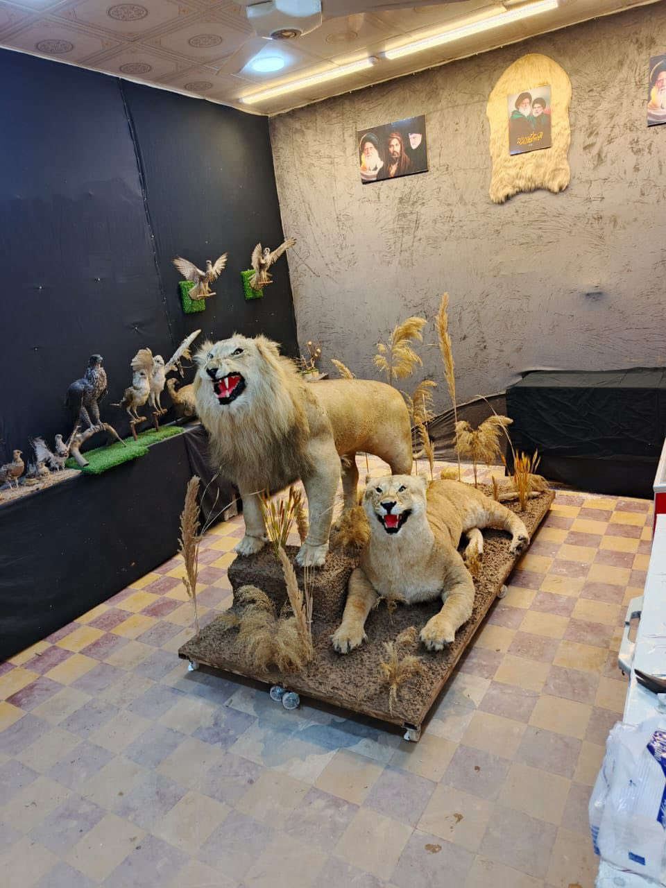 عطاريات سيد حيدر البيع كافة المحنطات


**إذا كنت صاحب هذا الإعلان وتريد حذفه لأي سبب، رجاءا أرسل رسالة إلى الدعم الفني**