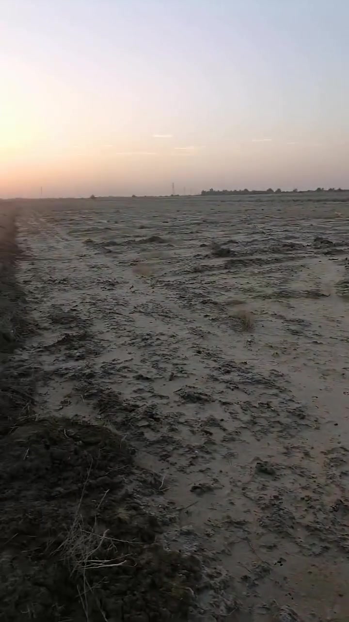 السلام عليكم عشر دوانم عقد ١١٧
كل الخدمات بيهن الواجها ٥٠النزال ٥٠٠
عنوانهن ال بعظم مقابل المصب العام 

ينباع منهن نص سعر الدونم الواحد سبعه ونص
***********
