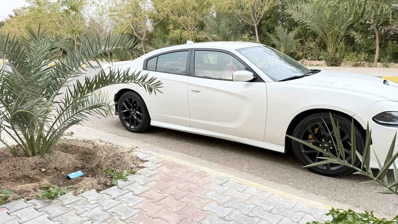جارجر بإسمي كفاله من الحادث والصبغ والتبديل كفاله ... عدا البنيد محدث فقط ... هزه جديده وسنويه لل2030 رقم دولي ... گير محرك شرط بلاد شركه  ... منضومة زينون ... تخم تاير 2026 جديد + ويل كب مال خليجي 2023 ... داخل مغلفه جلد ارضيات + الكشنات درجه اولى ... 2015 ... ب 205 وبيها مجال المكان كربلاء قرب ملعب كربلاء ... للاستفسار ***********
