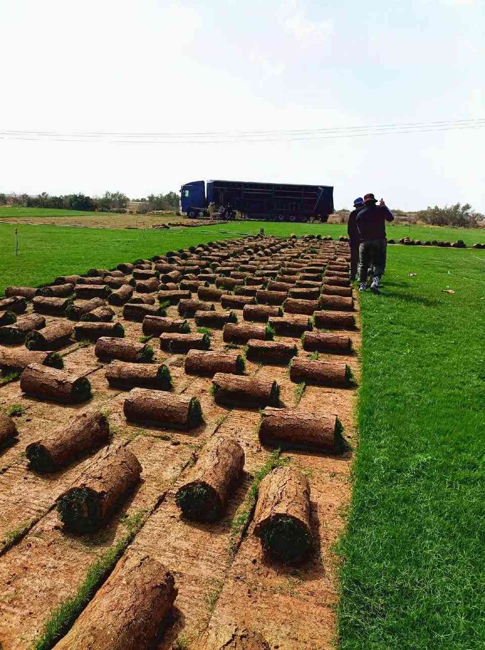 ثيل ديالى الطبيعي 
يوجد توصيل مجاني لجميع المحافظات العراق 
التواصل على  هاذا  الرقم 
***********
***********
