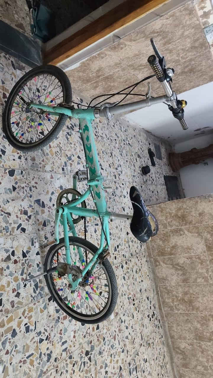 العبيدي


**إذا كنت صاحب هذا الإعلان وتريد حذفه لأي سبب، رجاءا أرسل رسالة إلى الدعم الفني**
