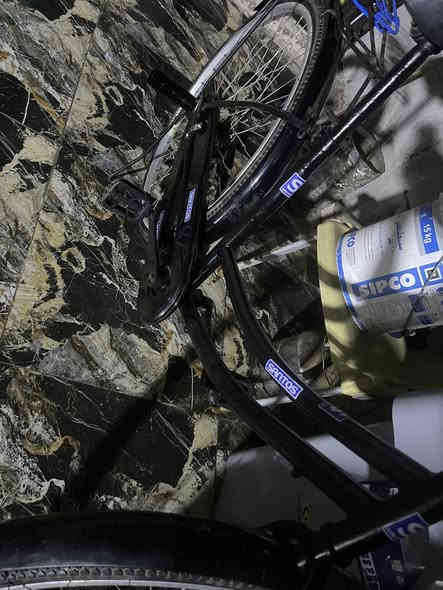 باسكل البيع مكاني شط العرب الجزيرة اليوبه مصبوغ معمر ***********السعر 65قفل
