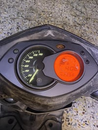 سكنس فحل • اوراق كاملة • سلف وهندر