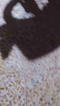 شباب دراجه فله مديل 2009 ياباني بعده على حطت شركه صارله سبوع من طلعته ...