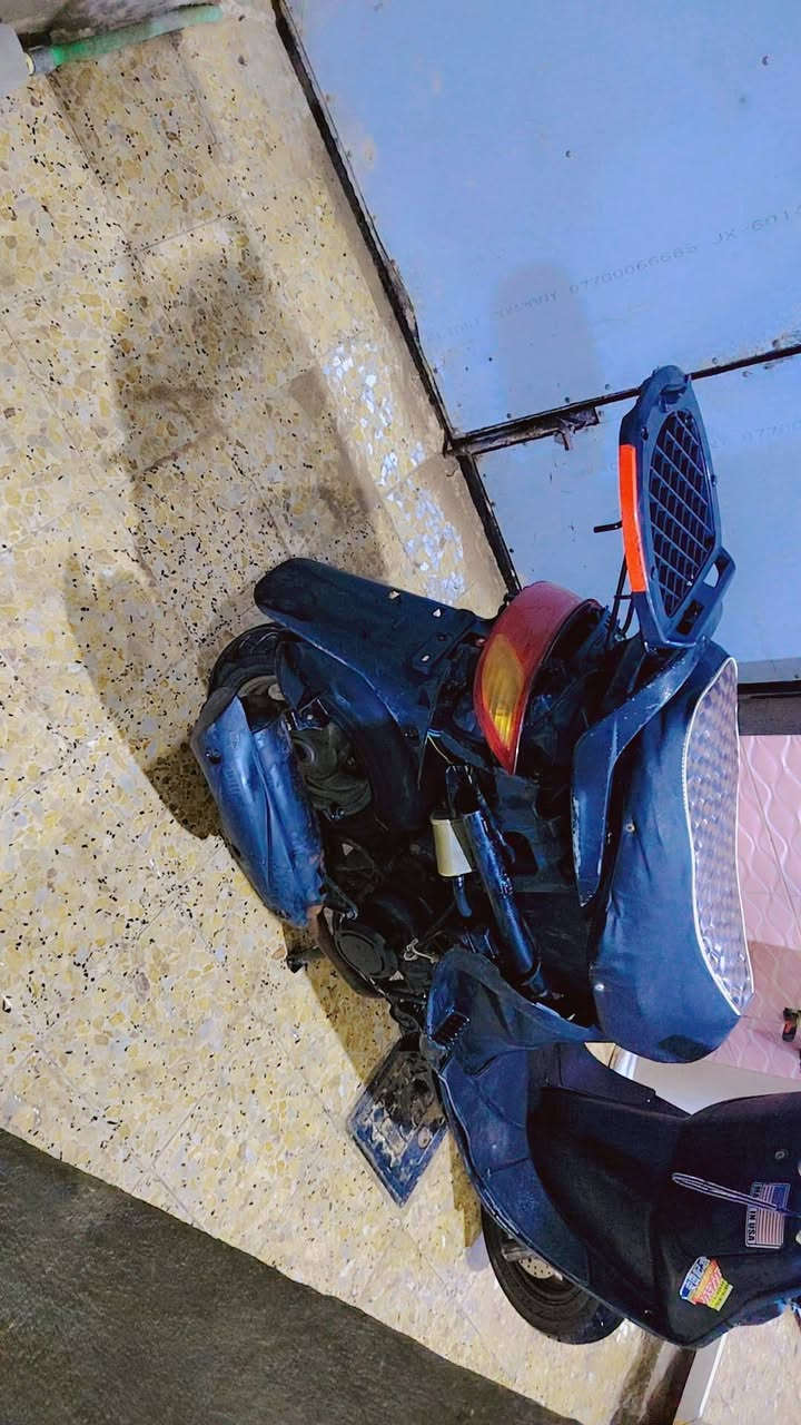 سلام عليكم فراشه فحل مكفولة سعر350 مكان نجف ***********
