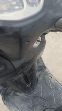 سكنس كوري • ١٤٠ سي سي • كربريتر جديد