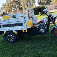 ستوته ٢٠١٨ • وراق كاملة • ديالى سراجق