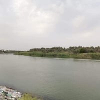 الكوفه الزركه • دونم طابو زراعي • ٢٥٠٠م