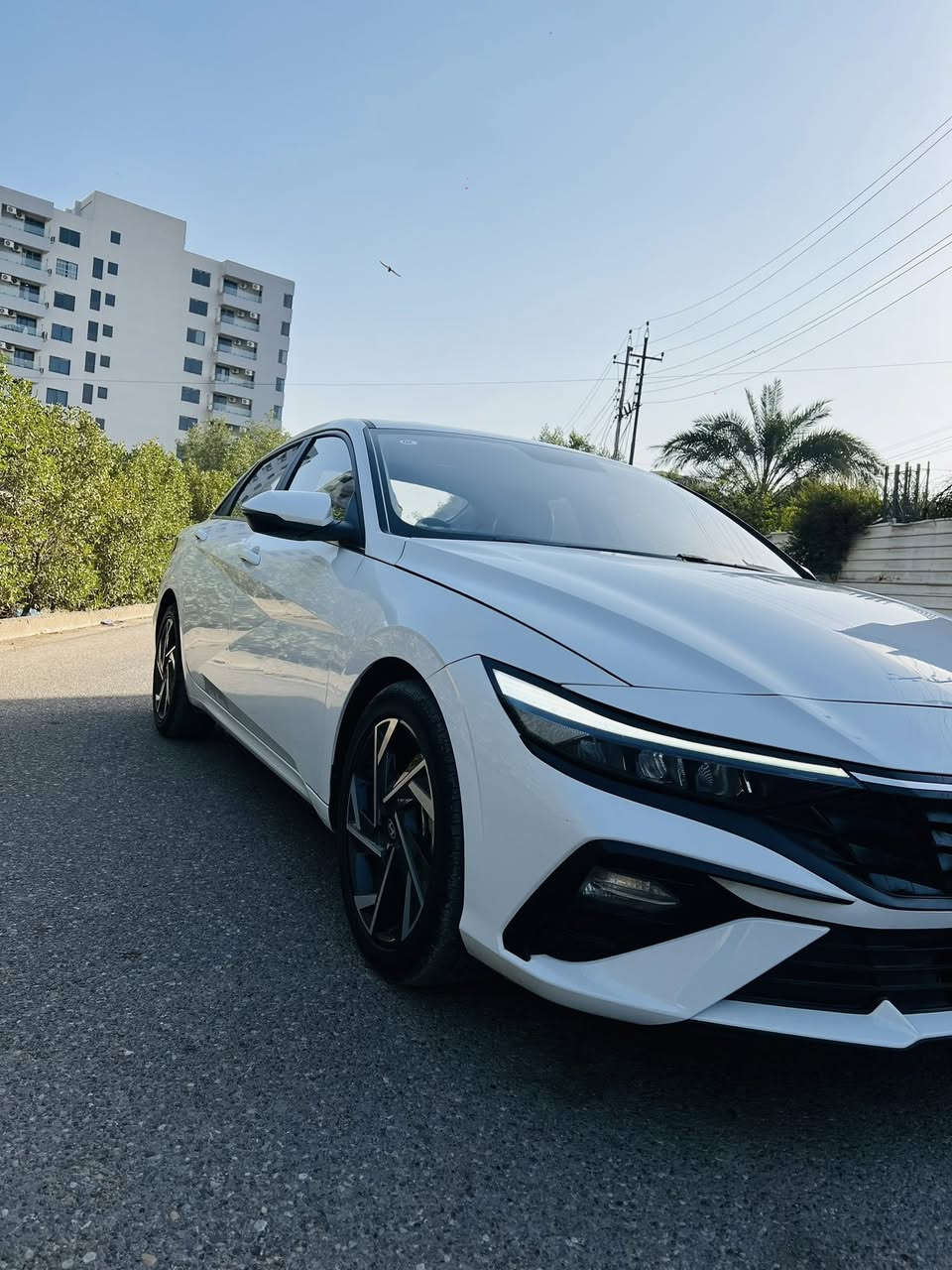 السلام عليكم
النترا موديل 2025 خليجي تجمع صيني 

مكينه 1500  8 نوزل 

سياره وضع الشركه  

مكفوله سياره  ماشيه 13 

سعر سيارة 154 بيه حق الجيه 

مكان السياره بلديات 

***********
