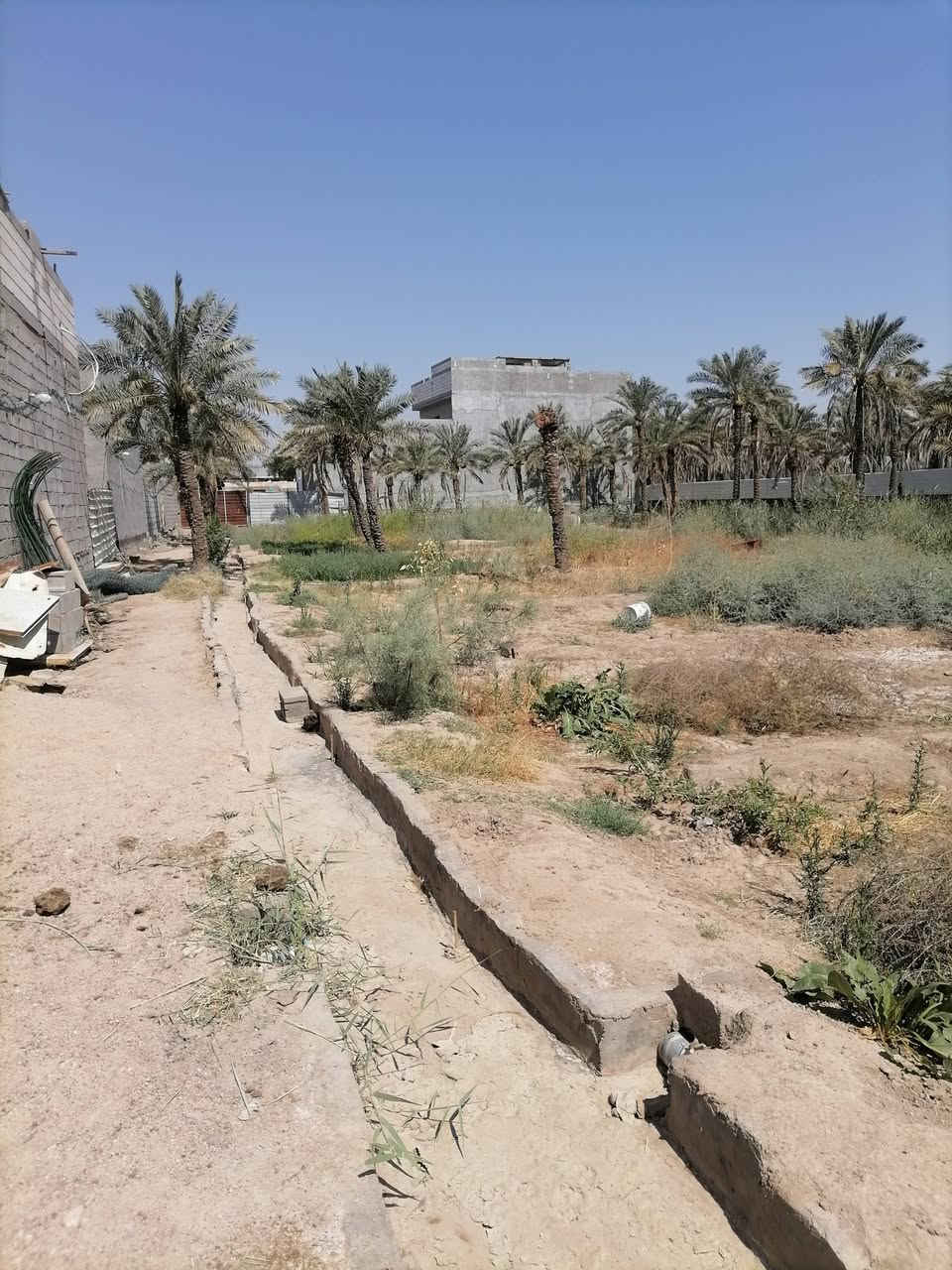 دونم طابوزراعي وطابو عراقي للبيع ادونم مزروع برحي وشجار وبي حوض ماي حلو وعلى شط مباشر كافت الخدمات للاستفسار الاتصال على الرقم *********** مكان كلش حلو ومرتب ابوالخصيب طريق ابوكوصرا يم سنتر طه وسعر على الخاص جدن مناسب
