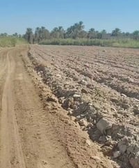 بين طويريج وكربلاء • دونم سند • شارع التبليط الجديد