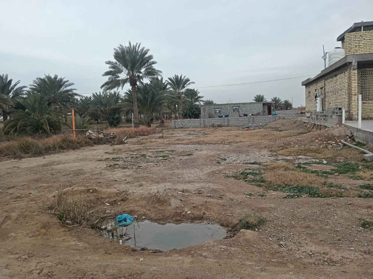 قطعة أرض طابوا ملك صرف ربع دونم تنزل بسمك مباشرتآ علمآ تتواصل مع صاحب الأرض مباشرتآ بدون وسيط 
 قرية بيت ابو عميمية تبعد عن الشارع ٦٠٠ متر خدمات كامله تصلح سكن او مزرعة
اليرغب بالشراء الاتصال على الرقم ***********
