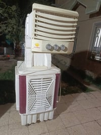 مبرده • شغاله • حالة جيدة