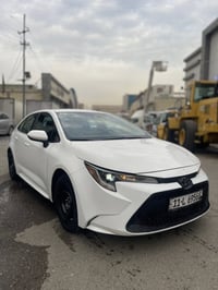 كورلا أمريكية • ٢٠٢٢ • رقم بغداد