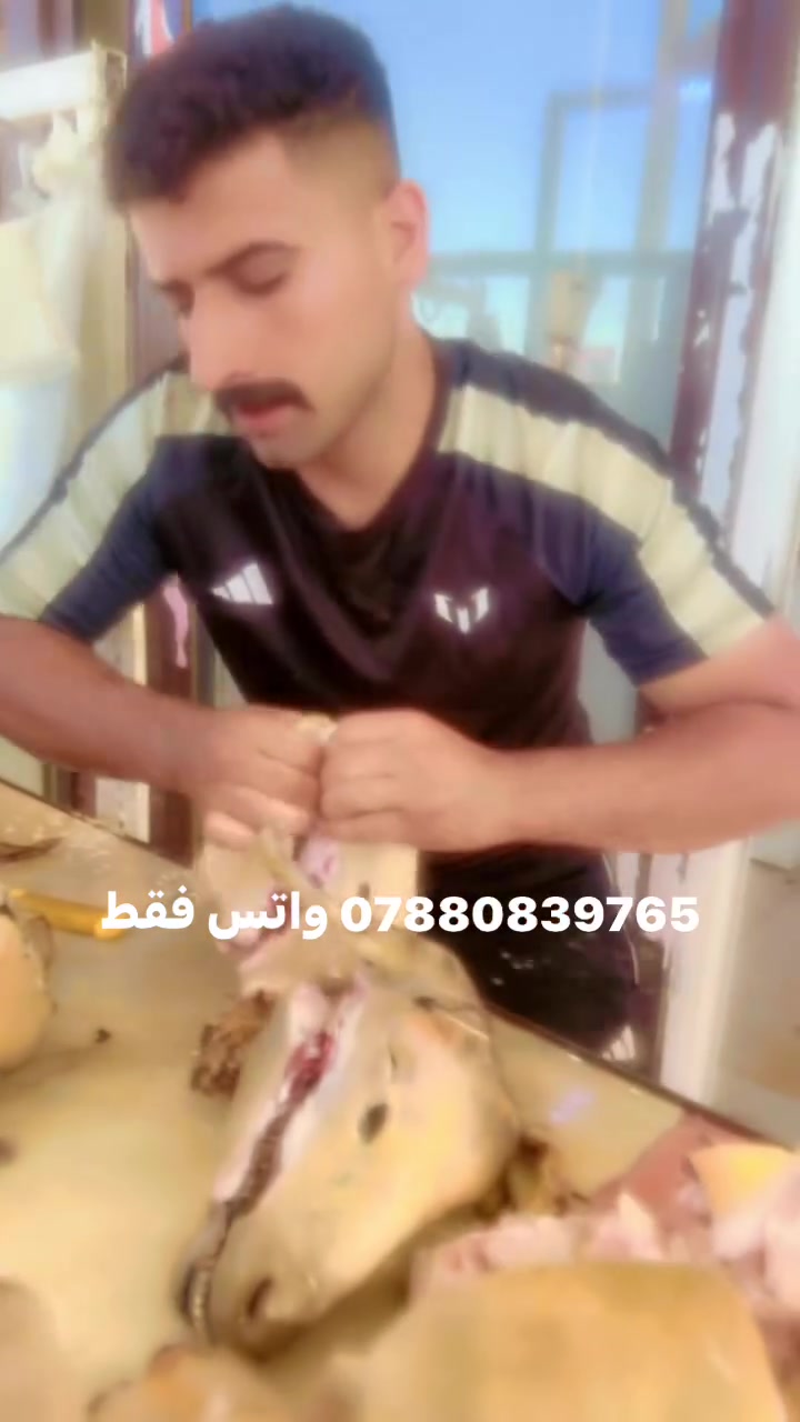 صفاء ابن الأنبار 
العنوان بغداد


**إذا كنت صاحب هذا الإعلان وتريد حذفه لأي سبب، رجاءا أرسل رسالة إلى الدعم الفني**