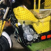 ستوته • ٢٠٢٠ • اوراق اصولي