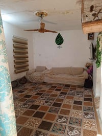 ناصريه • دور زراعي • مقابل مستشفى بيطره