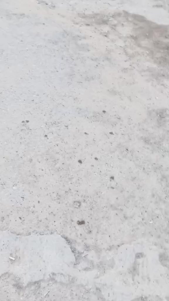 بيت للبيع حميديه شارع سيد عوده ***********
