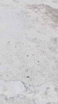 بيت للبيع حميديه شارع سيد عوده 07707739114