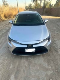 كورلا امريكي • ٢٠٢٤ • رقم بابل