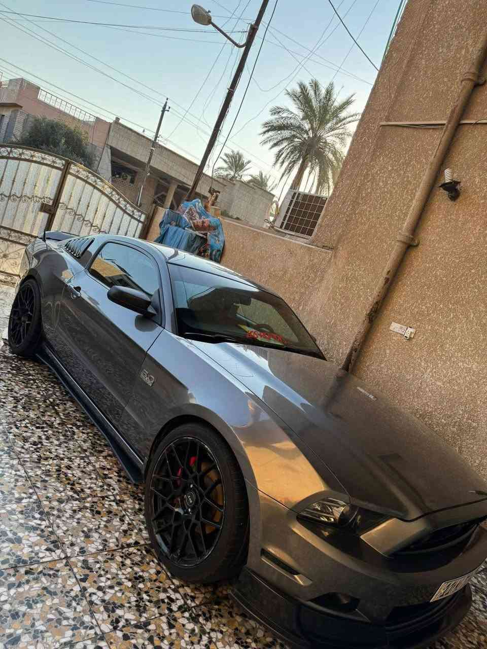السلام عليكم
موستنك 14 v6 للبيع او للمراوس فقط بسيارة 4 ابواب 🩶

حادثها جاملغات اماميه من امريكا طعج بس بجم كبس بدون شواصي بدون لغود !صور الحادث ب منشور

واهنا صار بيها صبغ رش جماليه 5 قطع فقط بدون حادث ولا معجون اعتبرها حزام

البنيد والقماره والصندوك مابيهم شي

كير ومحرك واكسل مكفول

الاضافات :

داون بايب

اكس بايب

دبات فورتك  صوت رعيد تحكم ريمونت شغل علي الوادي

اكسل جيتي

شباك جيتي

لحيه rtr

جناح شيلبي

دفيوزر شيلبي

ويل svt الاصلي400$

فجوج برمبو

مسطره rtr مغلفه فورجد كاربون

لدات متغير الوان داخلي وخارجي تحكم ب تلفون

زرع عدسات + عيون الشيطان يم اسرار الاسدي

ماشيه 100mi 🩶

من اقوى السيارات بموديلها برمجه الضرغام
‭***********‬ 
مكاني بغداد حي الجهاد
