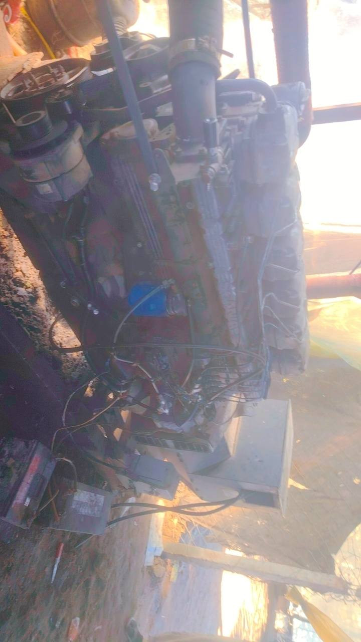 مولده بومه سكانيه أوربي ١٢٤ راس توليد ستانفورد بلادي مامفتوح للأستفسار ***********
