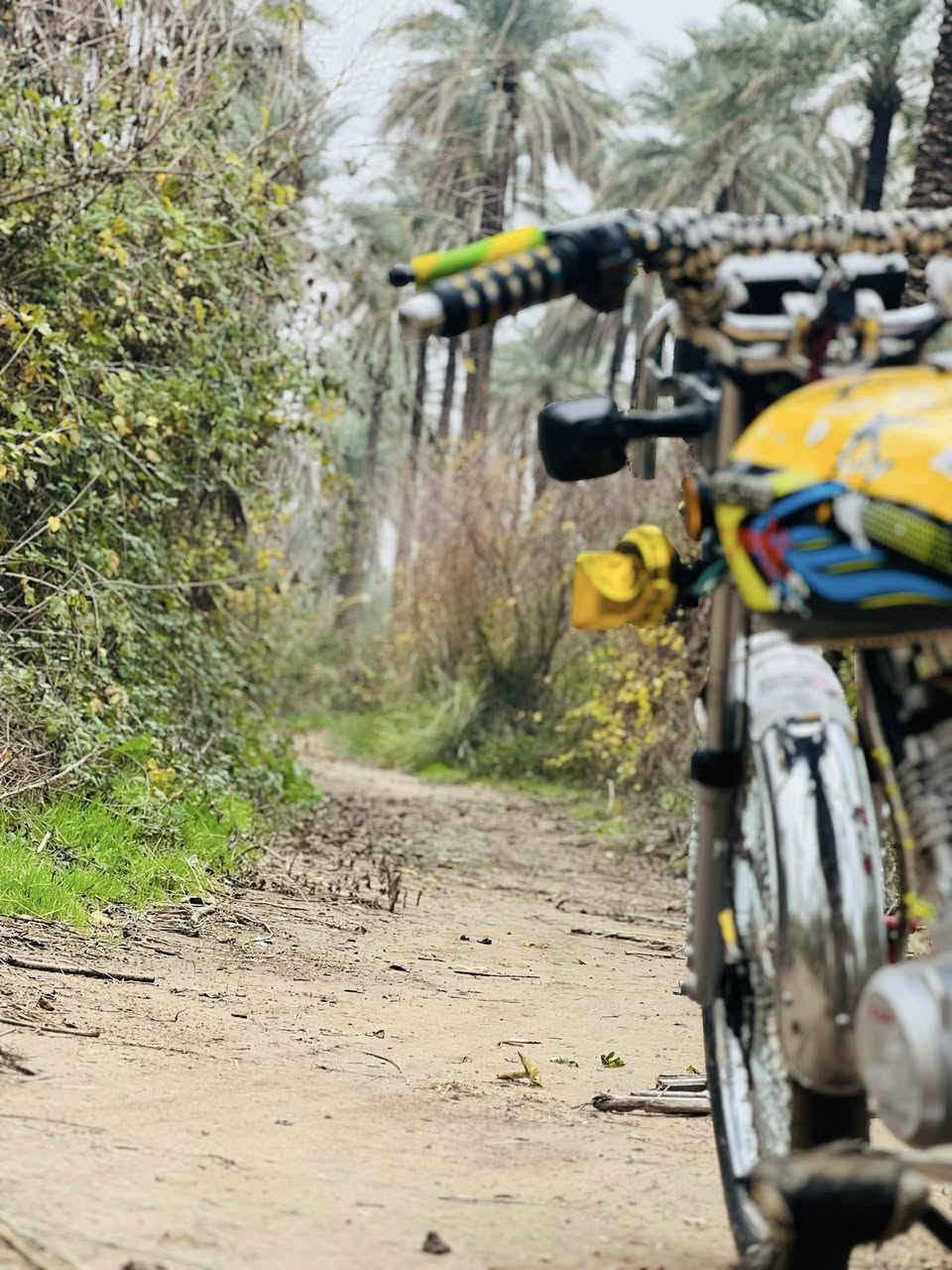 تايكر  موديل 2024 كلة شغال ومكفول بيع او مراوس بوكسر كلك سعرة 700 وبي مجال              ***********
