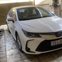 24 بارد جاملغ امامي بسيط السعر 152  فول ماشيه 18 كيلو   07715782882