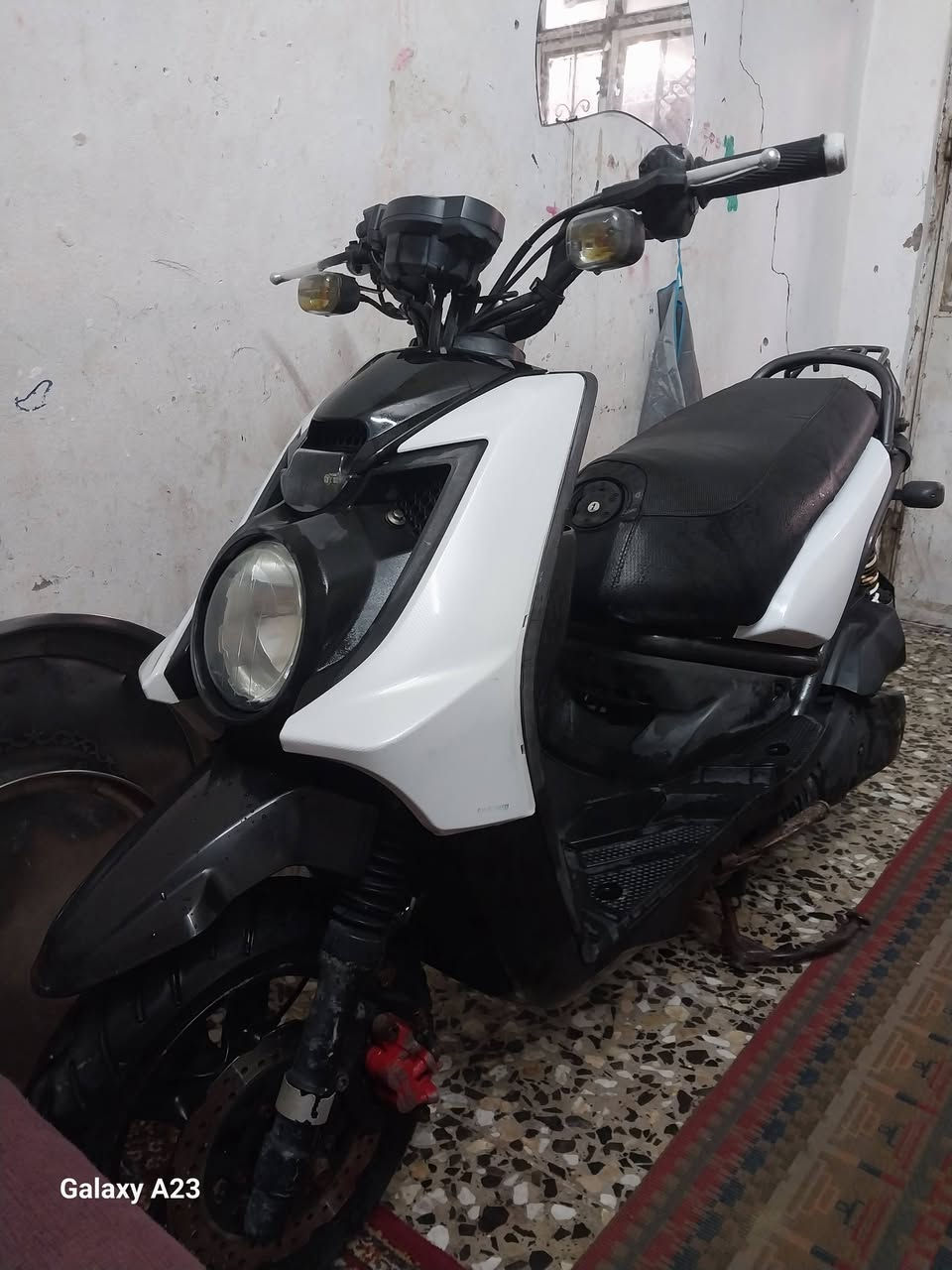 سلام عليكم سكنس جبلي البيع صار شهر من نازله رمباه  درجه حلوه  سعر 100 و200 مكاني بغداد مدينه صدر حي طارق ***********
