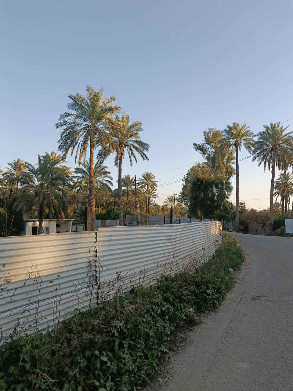 🌴 مزرعة للبيع أو المراوس 🌴
📐 المساحة: 1000 متر مربع
📍 الموقع: ركن مميز على شارعين
✨ فرصة ممتازة للاستثمار أو السكن ✨
📞 للتواص.. ***********..
