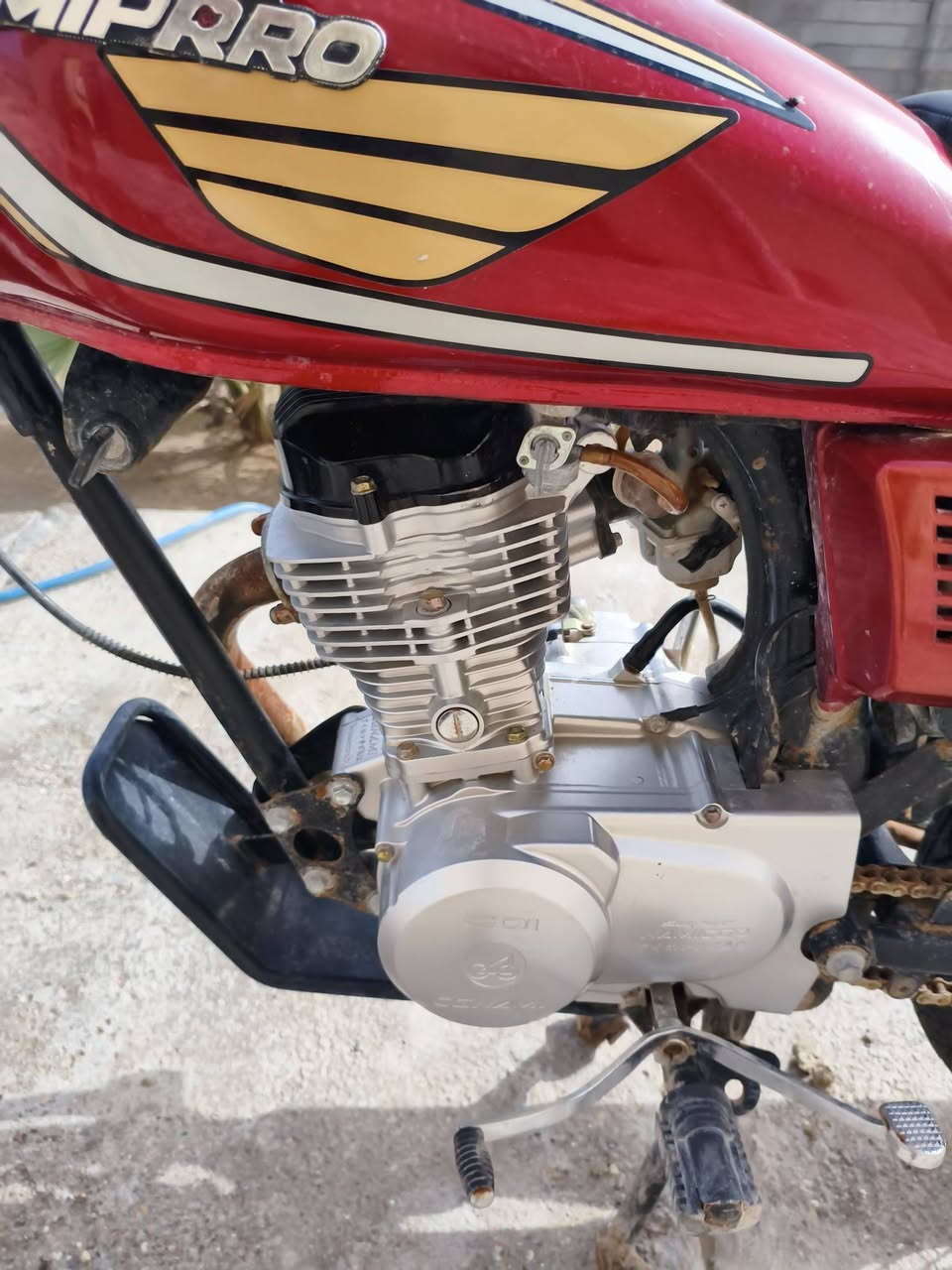 سلام عليكم كرداجة للبيع الدراجة نضيفة كلش مكينة ما مفتوحة السعر 600 وبيهة مجال الاتصال علة هاذ الرقم   ***********
