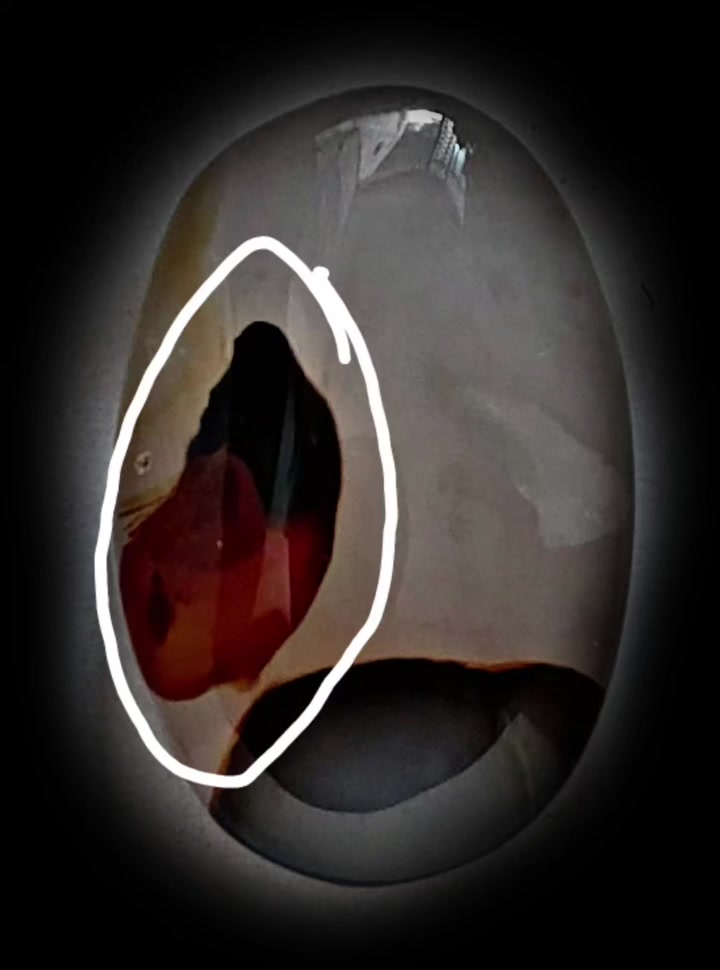 متع ناظرك بحجر يماني انسي


**إذا كنت صاحب هذا الإعلان وتريد حذفه لأي سبب، رجاءا أرسل رسالة إلى الدعم الفني**